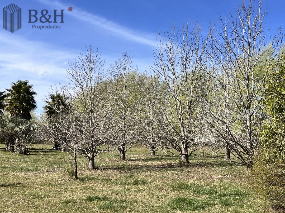 Chacra ID.3292 - Venta chacra 5Ha Zona La Pataia Punta del Este