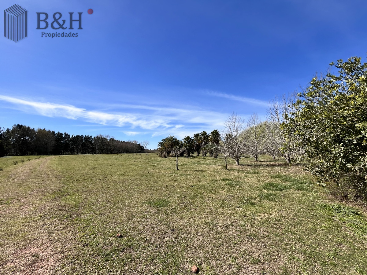 Maldonado - GoPunta - Portal Inmobiliario de Punta del Este - Maldonado