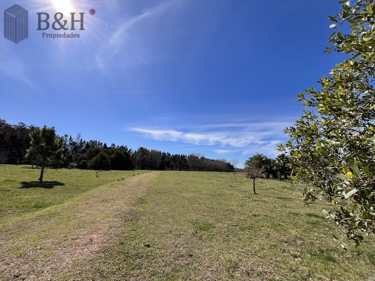 Maldonado - GoPunta - Portal Inmobiliario de Punta del Este - Maldonado