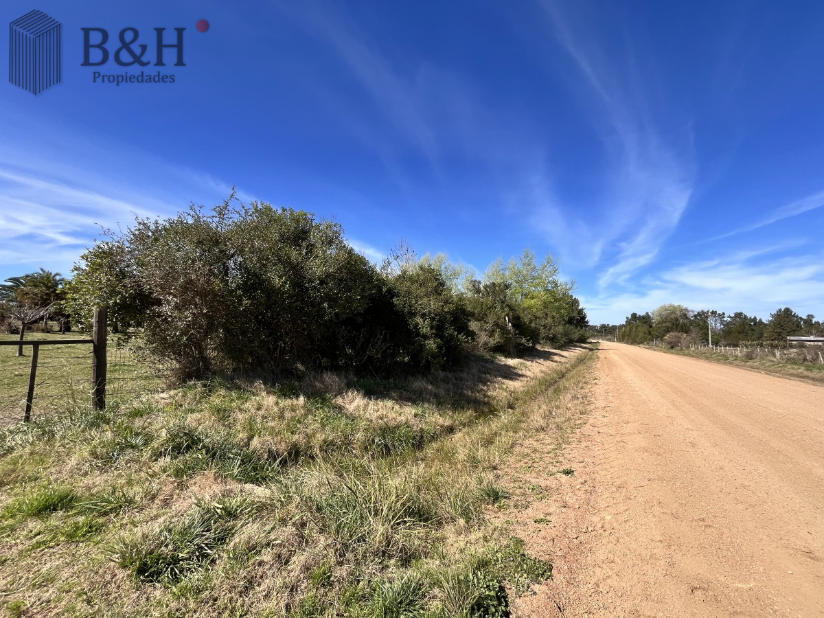 Chacra ID.3292 - Venta chacra 5Ha Zona La Pataia Punta del Este