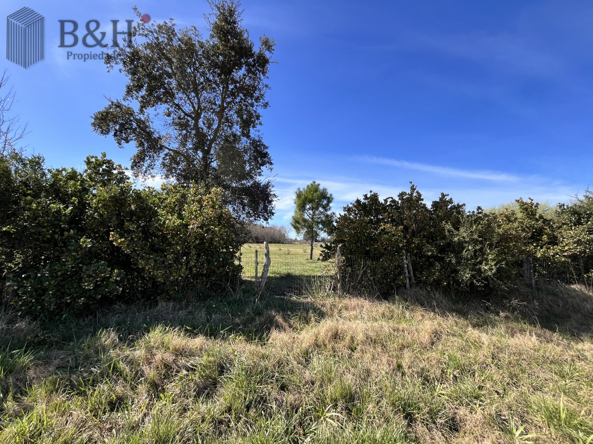 Chacra ID.3292 - Venta chacra 5Ha Zona La Pataia Punta del Este