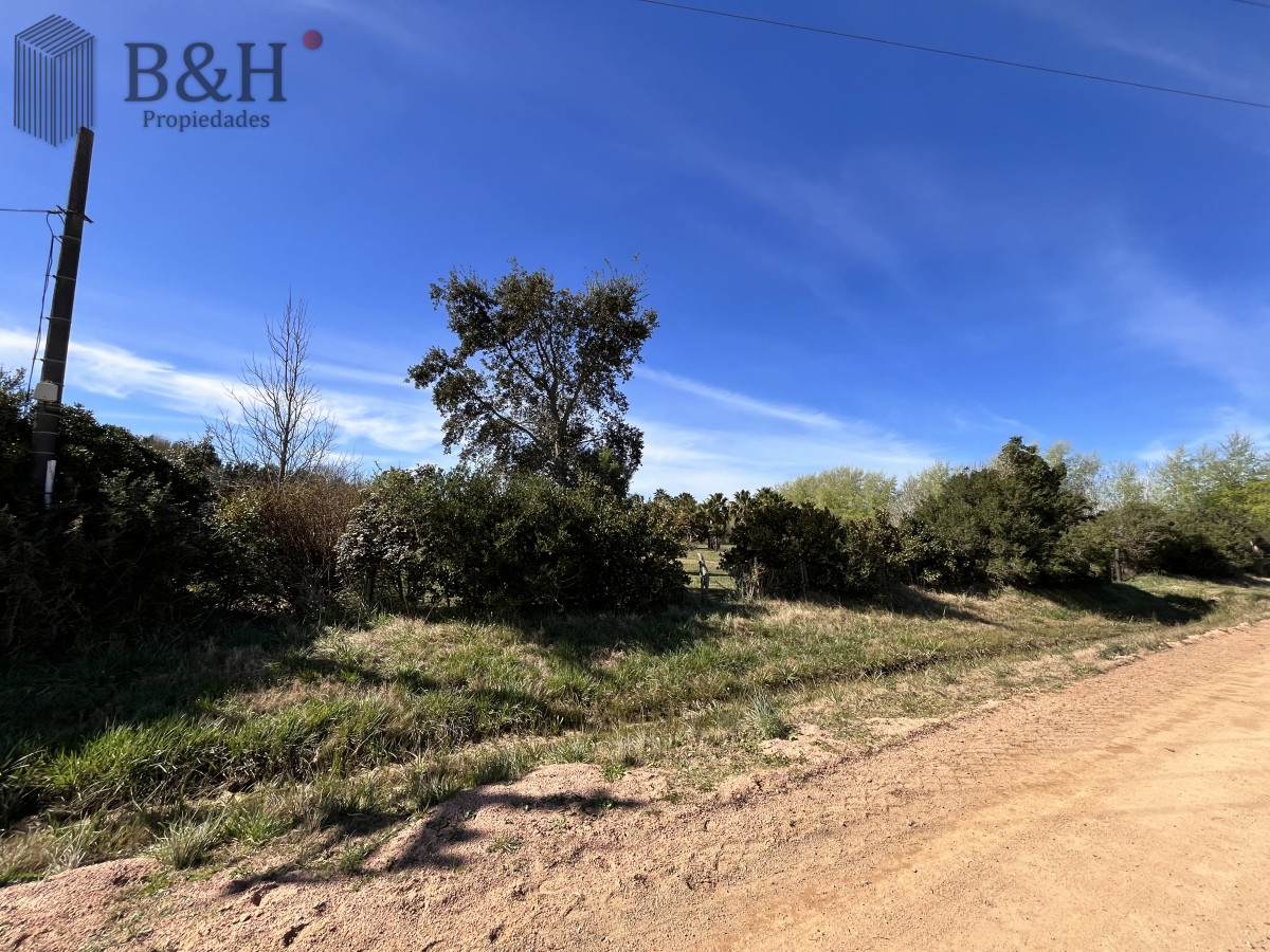 Chacra ID.3292 - Venta chacra 5Ha Zona La Pataia Punta del Este