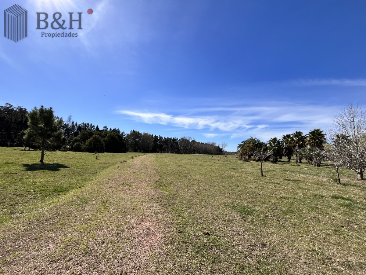 Maldonado - GoPunta - Portal Inmobiliario de Punta del Este - Maldonado
