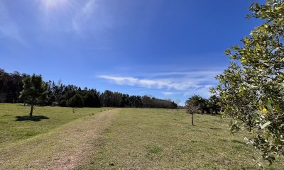Venta chacra 5Ha Zona La Pataia Punta del Este
