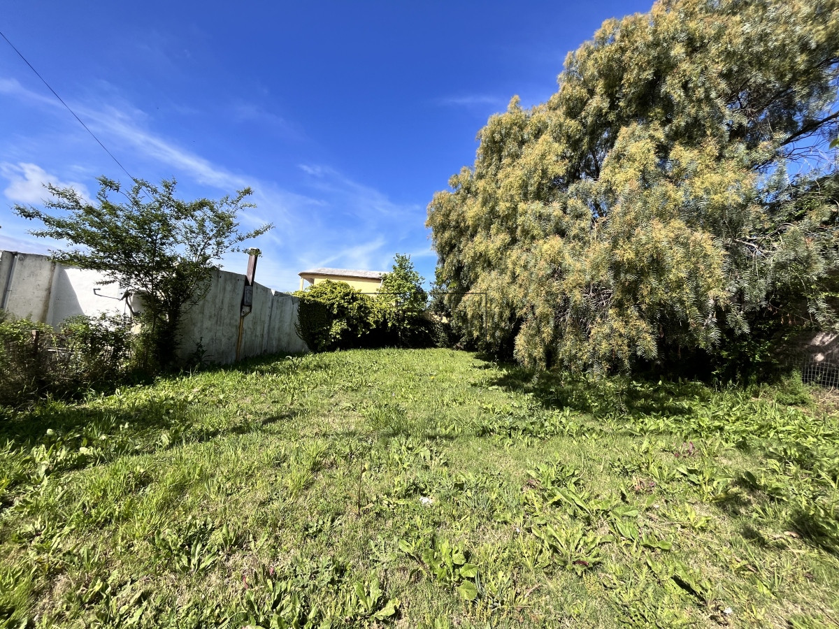 Terreno ID.159 - Terreno en Maldonado, 