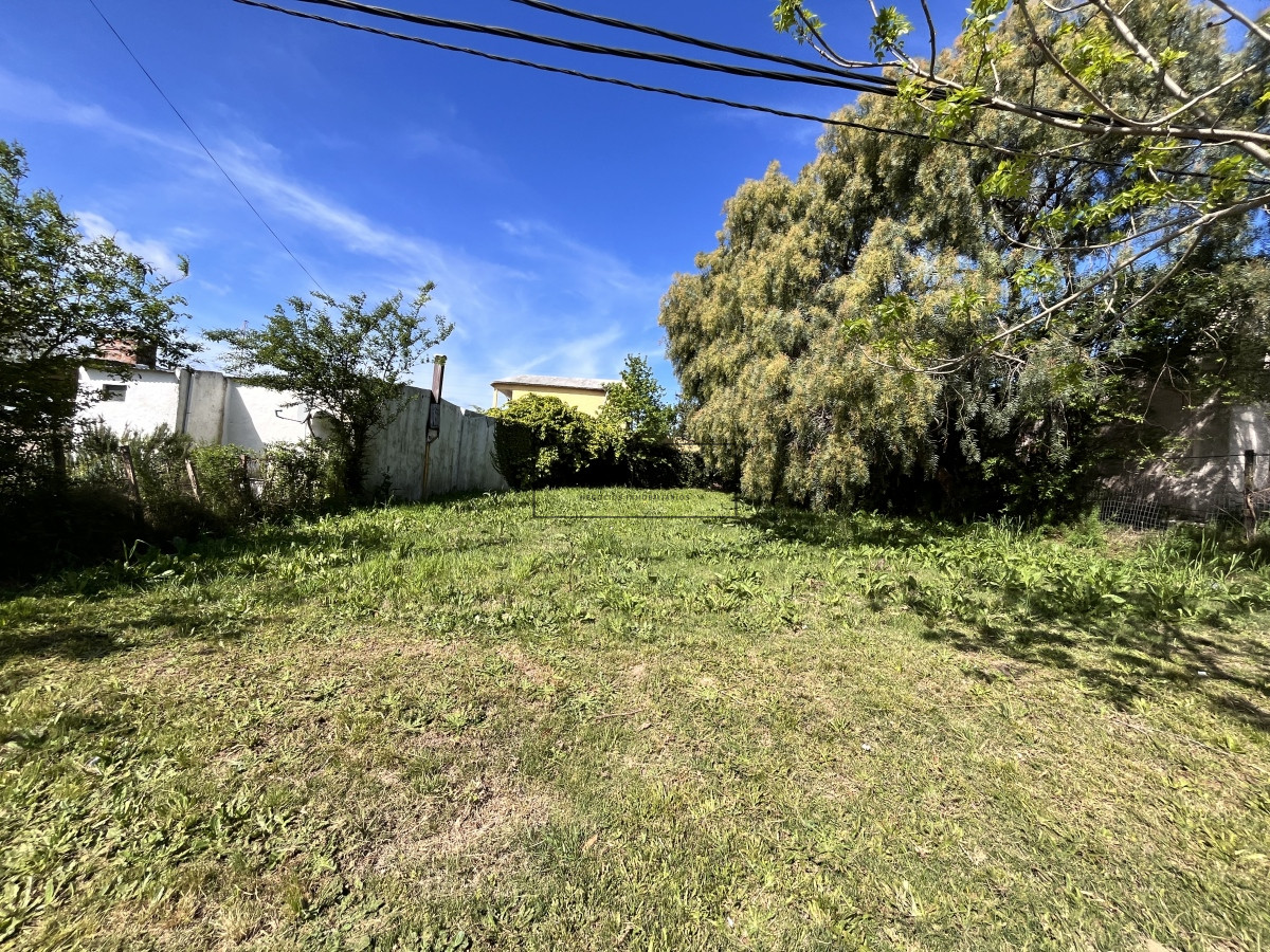 Terreno ID.159 - Terreno en Maldonado, 