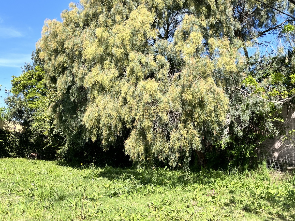 Terreno ID.159 - Terreno en Maldonado, 