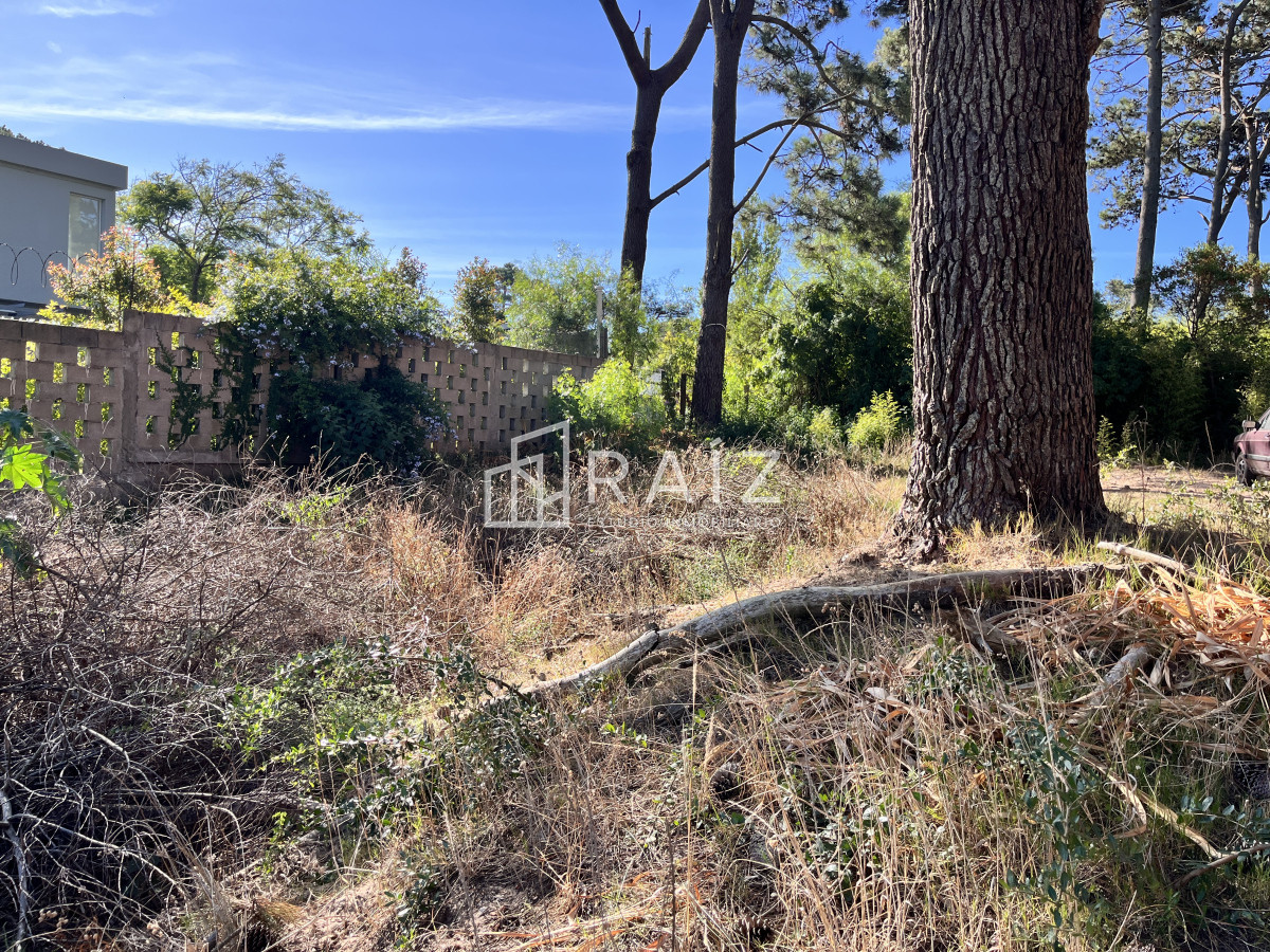 Terreno ID.10140 - TERRENO 600M EN VENTA MONTOYA 