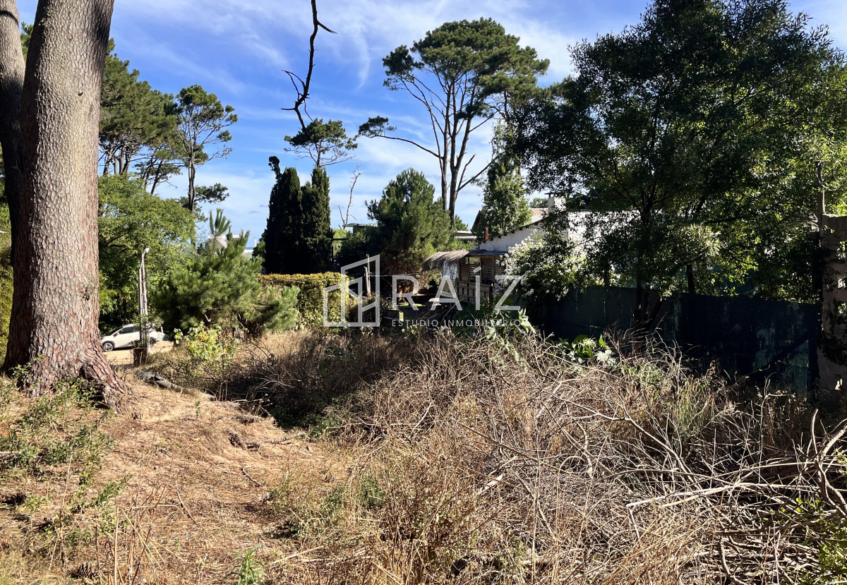 Terreno ID.10140 - TERRENO 600M EN VENTA MONTOYA 