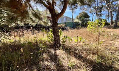 TERRENO 600M EN VENTA MONTOYA