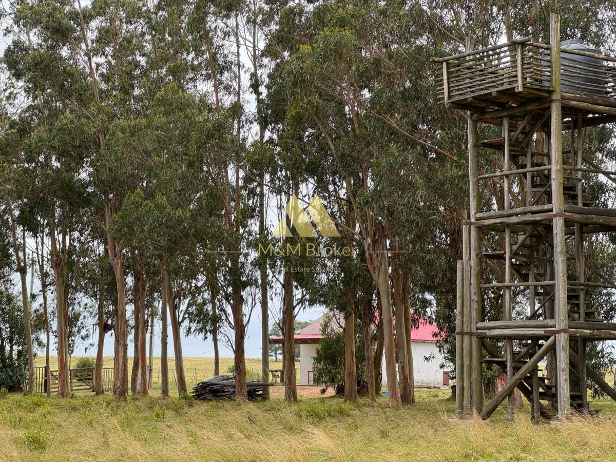 Chacra ID.223 - Bajó de Precio!!!! chacra a 20 minutos de Jose Ignacio!!! Las Garzas