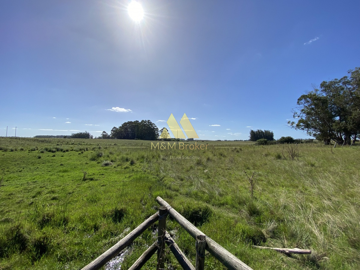 Chacra ID.223 - Bajó de Precio!!!! chacra a 20 minutos de Jose Ignacio!!! Las Garzas