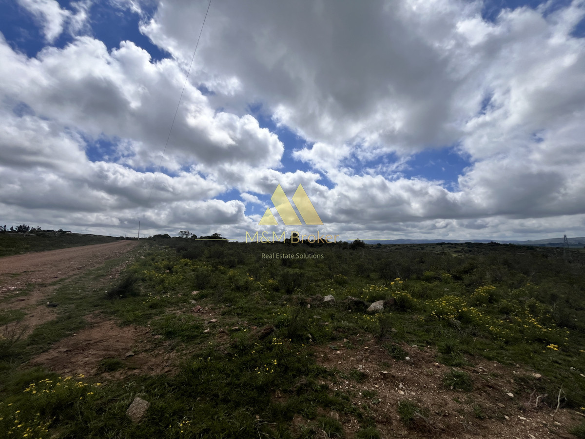 Ruta 39 - GoPunta - Portal Inmobiliario de Punta del Este - Maldonado