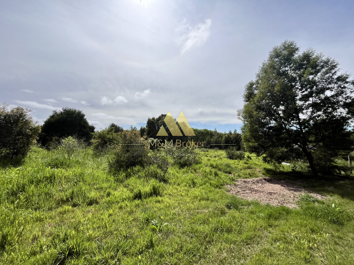 Ruta Interbalnearia - GoPunta - Portal Inmobiliario de Punta del Este - Maldonado