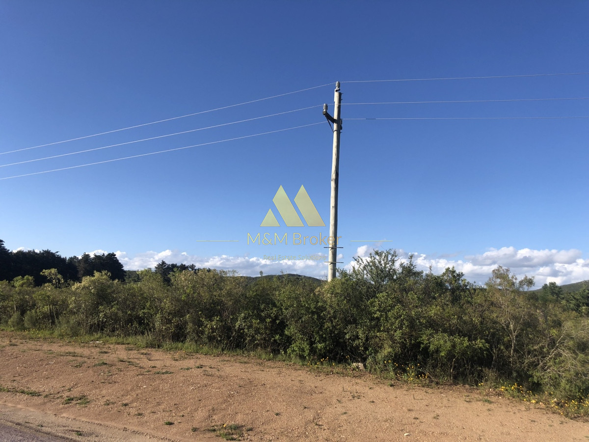 Chacra ID.422 - Venta chacra 5,6 ha Pan de Azucar, Maldonado
