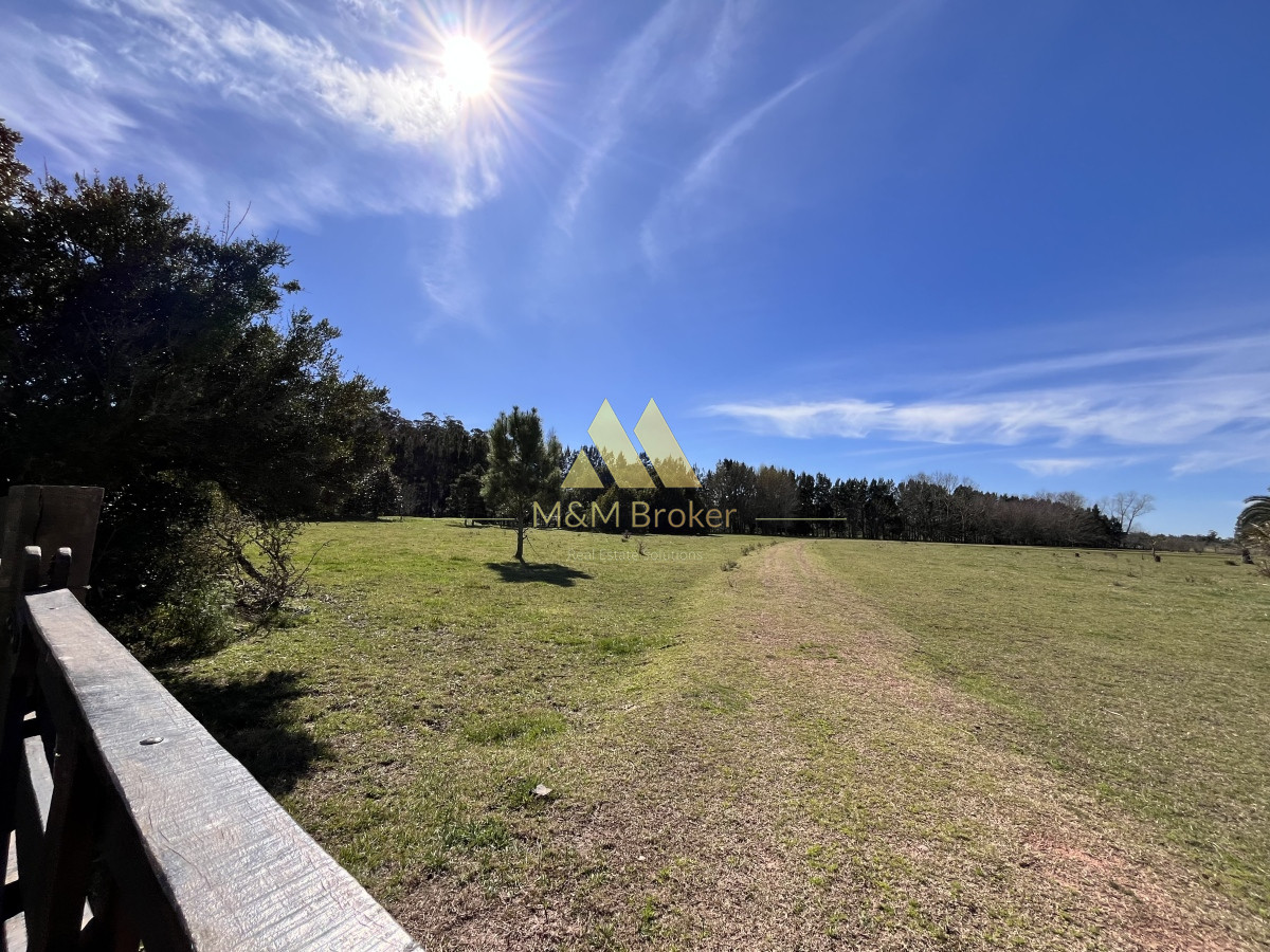 Chacra ID.462 - Venta chacra 5Ha Zona La Pataia Punta del Este