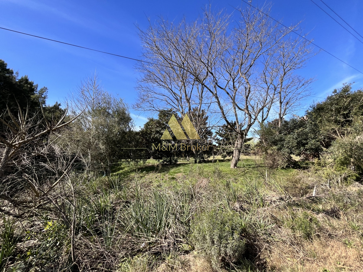 Chacra ID.462 - Venta chacra 5Ha Zona La Pataia Punta del Este
