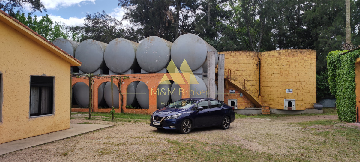 Juanico - GoPunta - Portal Inmobiliario de Punta del Este - Maldonado