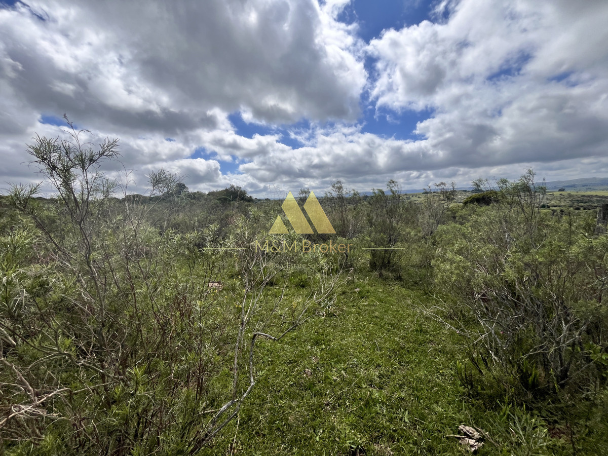 Chacra ID.622 - Venta chacra 4,5ha Maldonado