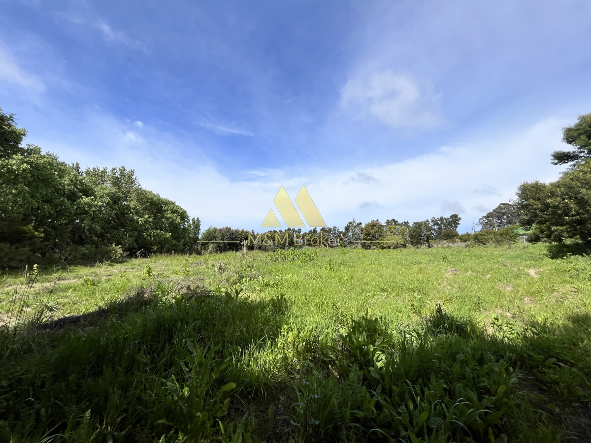 Ruta Interbalnearia - GoPunta - Portal Inmobiliario de Punta del Este - Maldonado