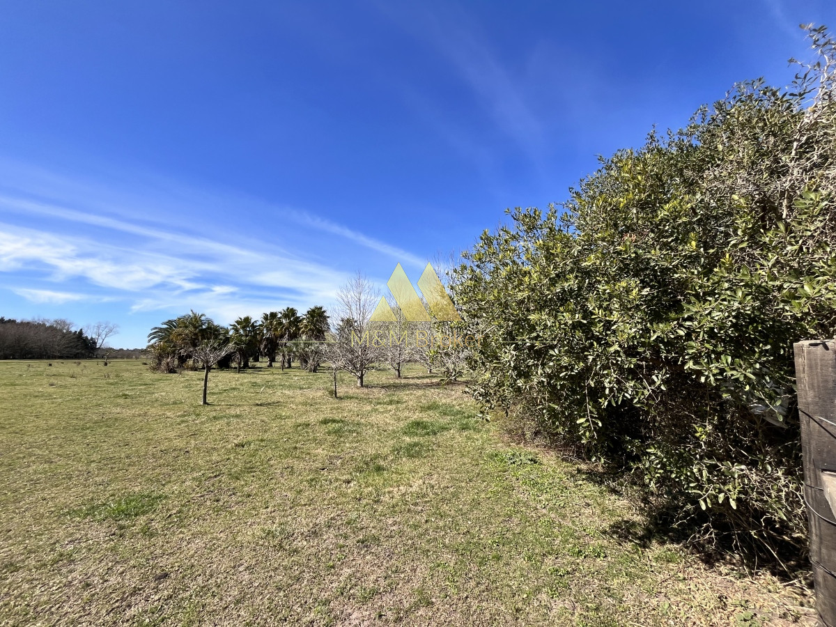 Chacra ID.462 - Venta chacra 5Ha Zona La Pataia Punta del Este