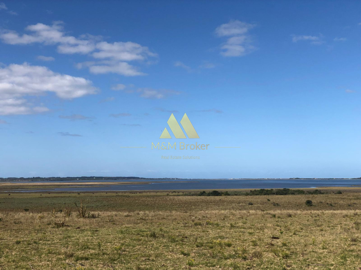 Medellin - GoPunta - Portal Inmobiliario de Punta del Este - Maldonado