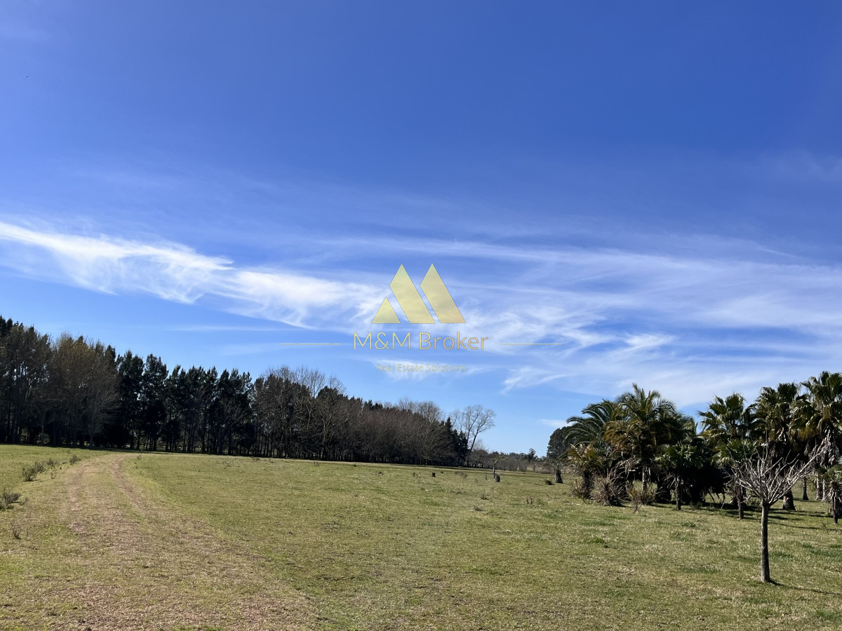 Chacra ID.462 - Venta chacra 5Ha Zona La Pataia Punta del Este