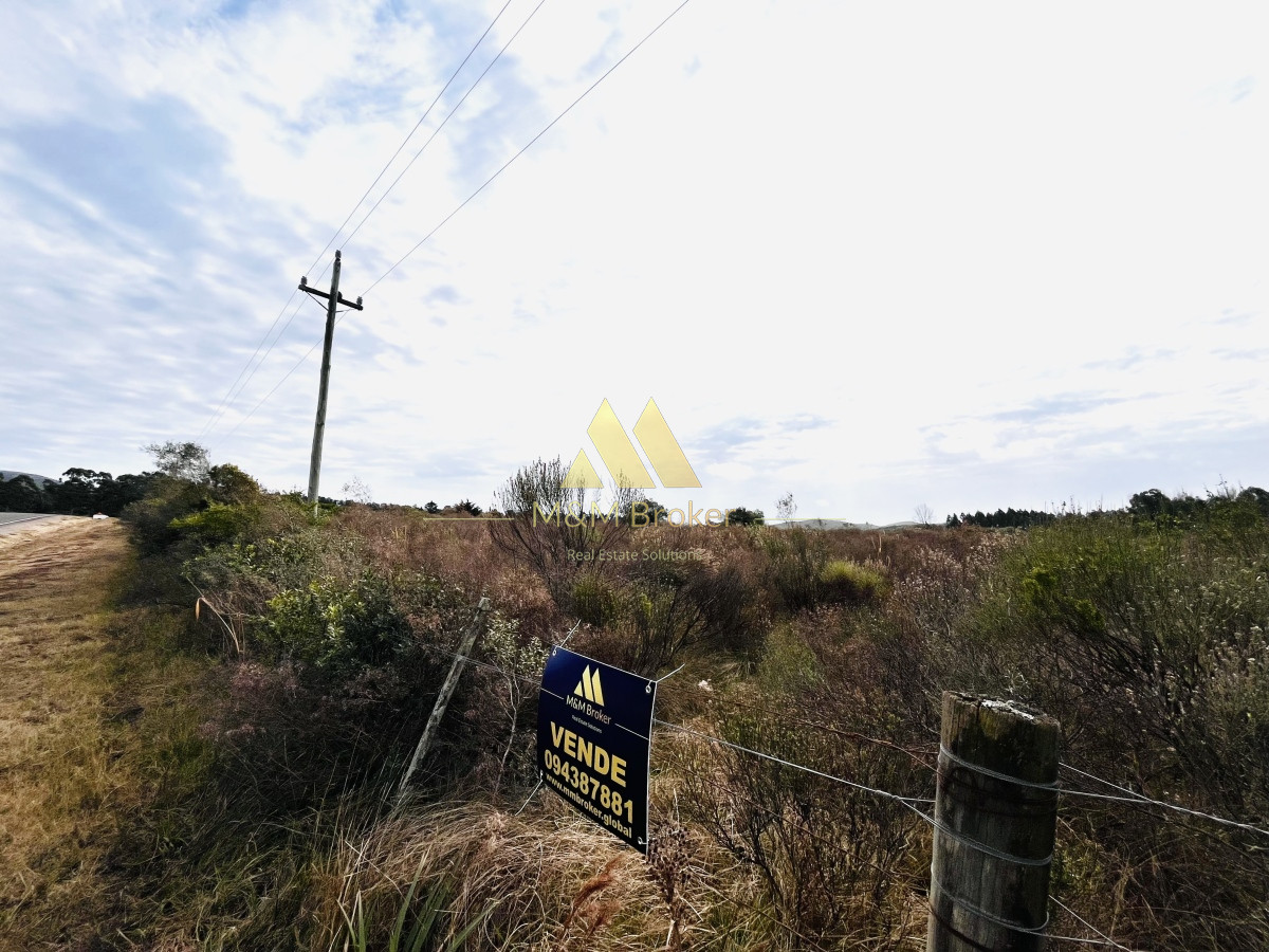 Chacra ID.422 - Venta chacra 5,6 ha Pan de Azucar, Maldonado