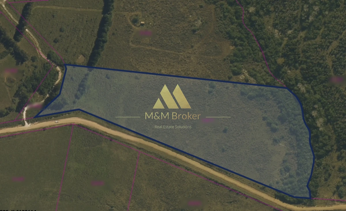 Ruta 60 - GoPunta - Portal Inmobiliario de Punta del Este - Maldonado