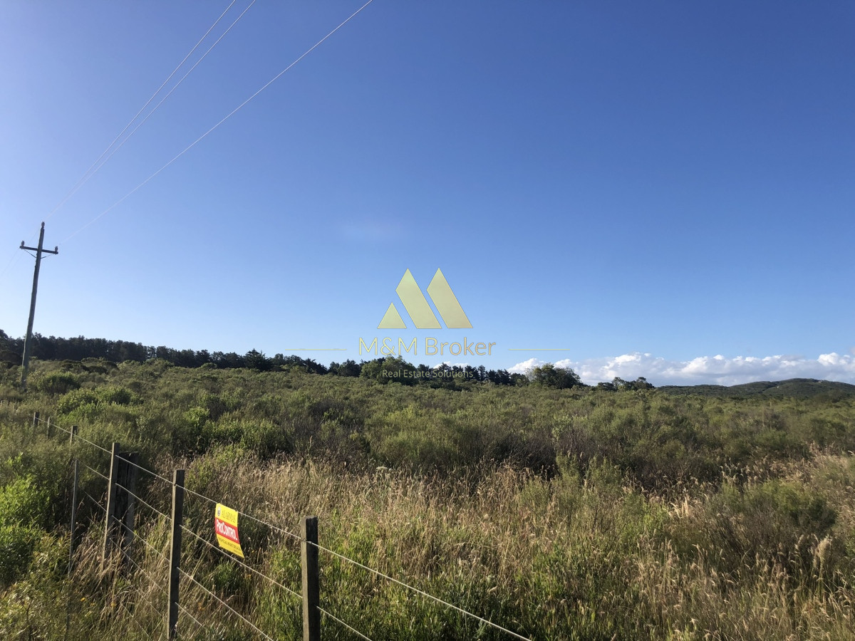 Chacra ID.422 - Venta chacra 5,6 ha Pan de Azucar, Maldonado