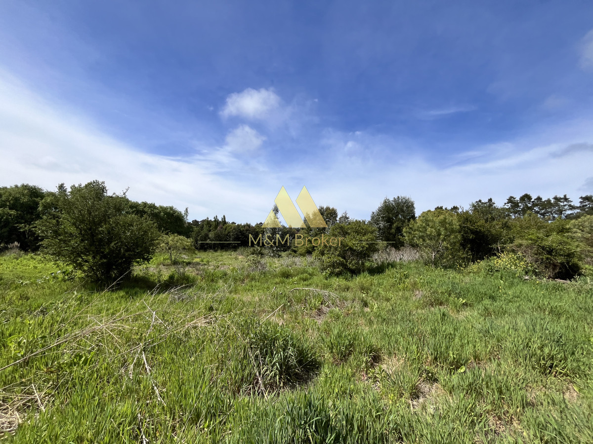 Chacra ID.626 - Venta chacra 6ha próximo a Laguna de los Cisnes Punta del Este