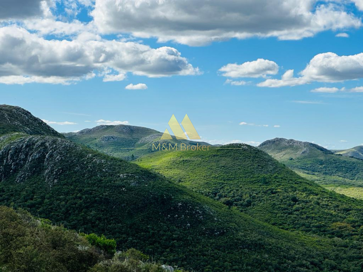 Chacra ID.482 - Venta chacra 5ha Pan de azucar