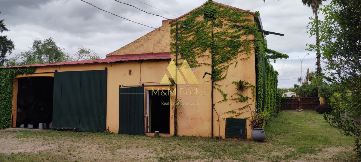 Juanico - GoPunta - Portal Inmobiliario de Punta del Este - Maldonado