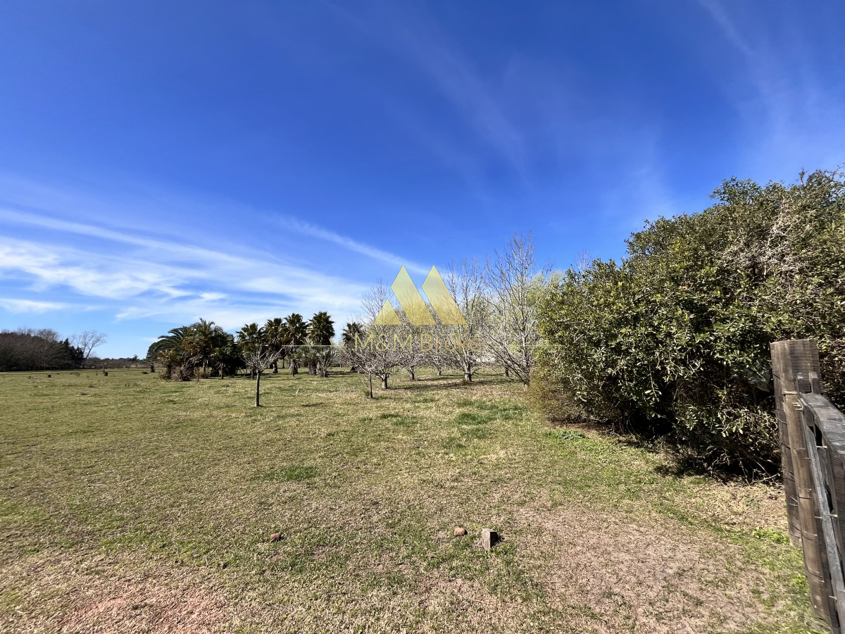 Chacra ID.462 - Venta chacra 5Ha Zona La Pataia Punta del Este