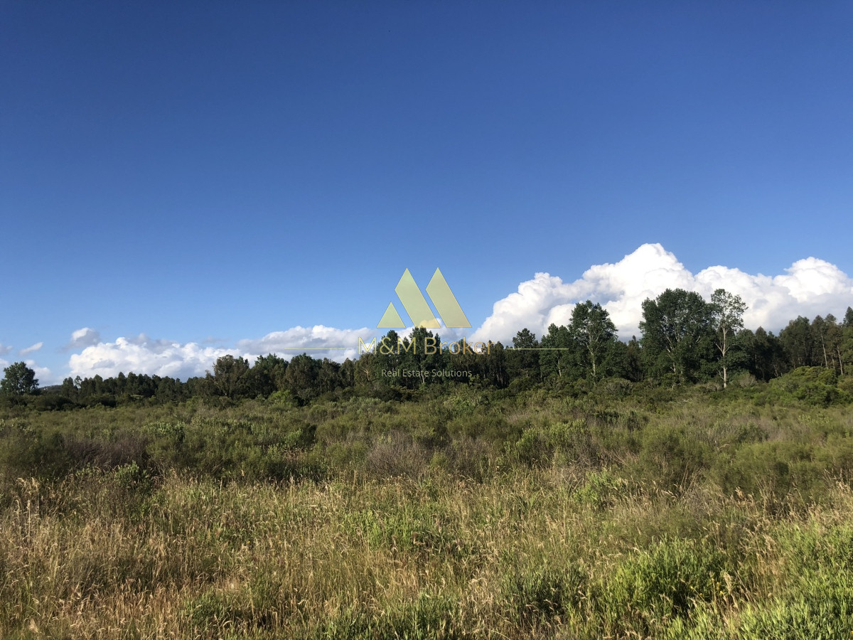 Chacra ID.422 - Venta chacra 5,6 ha Pan de Azucar, Maldonado