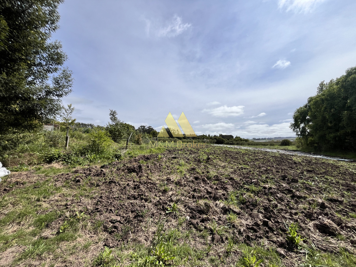 Chacra ID.626 - Venta chacra 6ha próximo a Laguna de los Cisnes Punta del Este