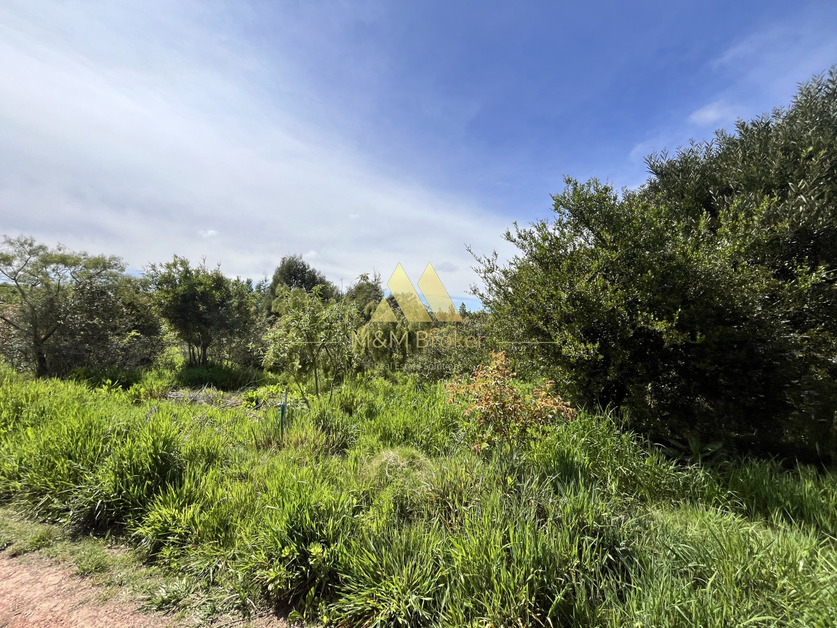 Chacra ID.626 - Venta chacra 6ha próximo a Laguna de los Cisnes Punta del Este