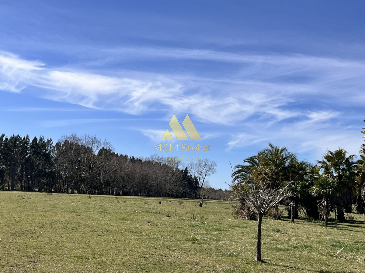 Chacra ID.462 - Venta chacra 5Ha Zona La Pataia Punta del Este