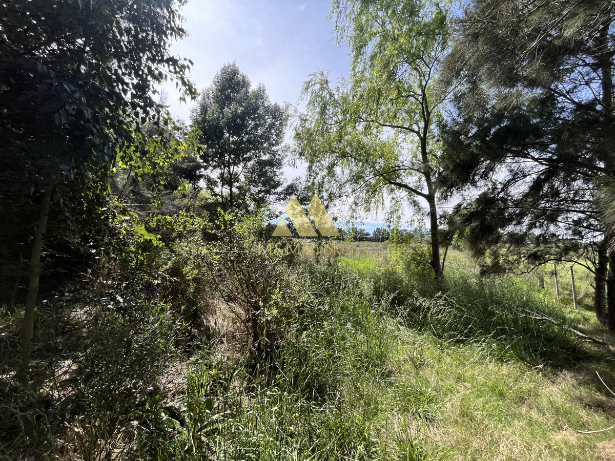 Chacra ID.626 - Venta chacra 6ha próximo a Laguna de los Cisnes Punta del Este