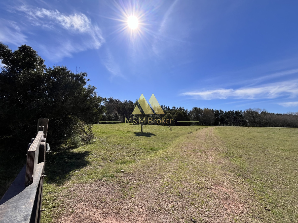 Chacra ID.462 - Venta chacra 5Ha Zona La Pataia Punta del Este