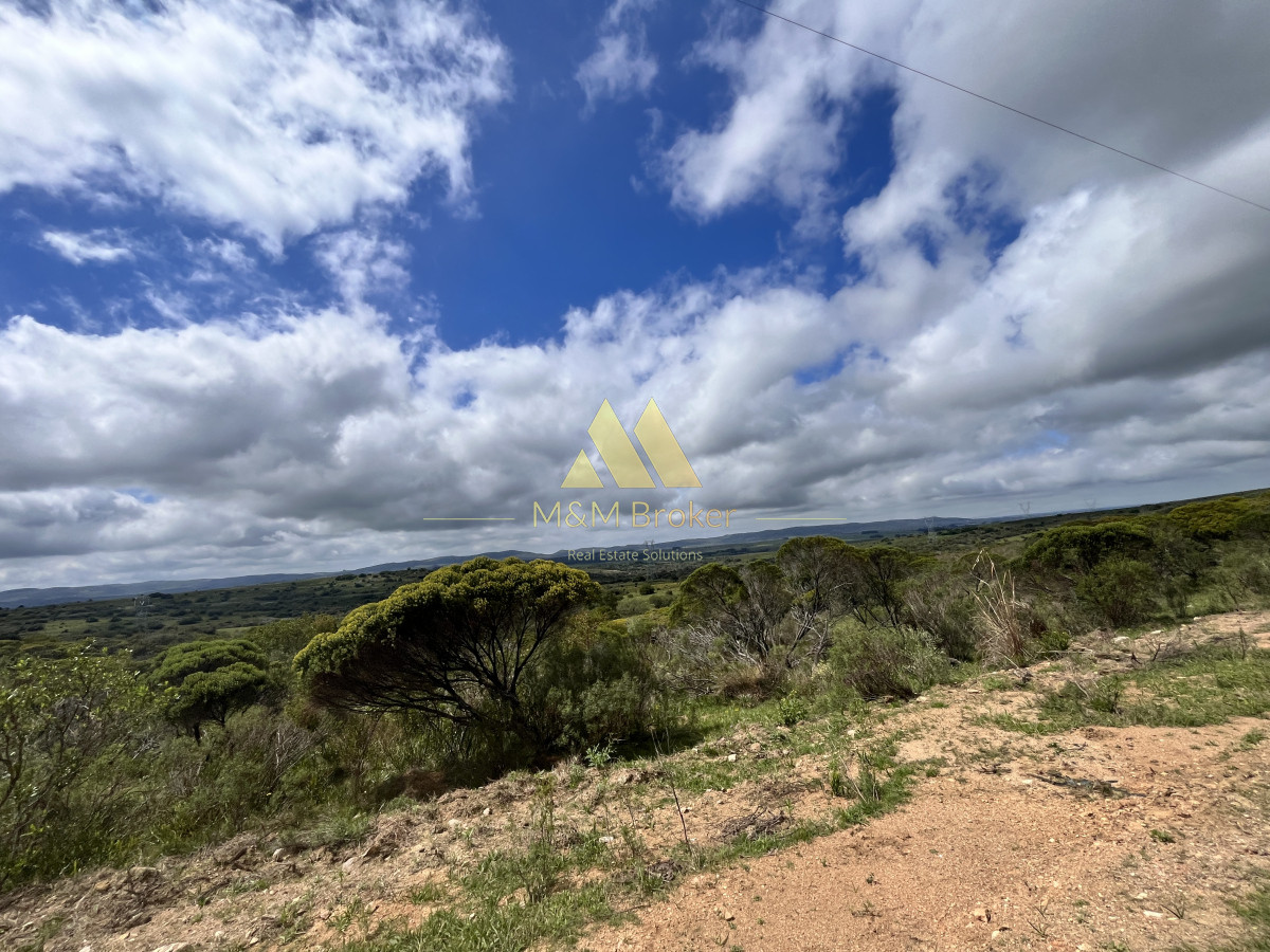 Chacra ID.623 - Venta chacra 4,5 ha Maldonado