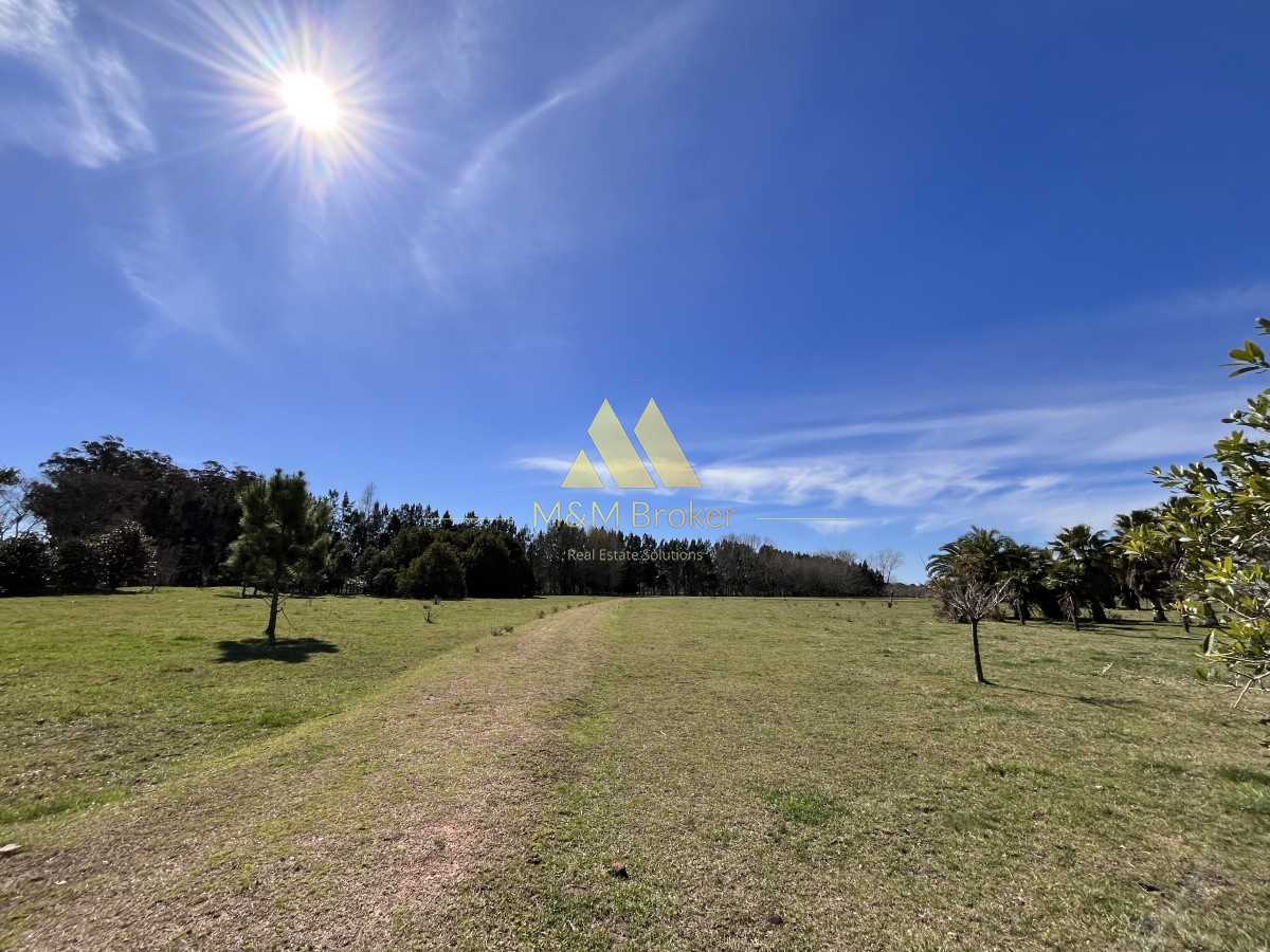 Chacra ID.462 - Venta chacra 5Ha Zona La Pataia Punta del Este
