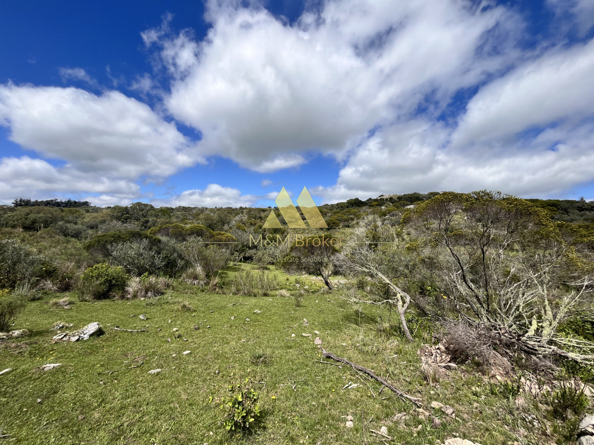 Ruta 39 - GoPunta - Portal Inmobiliario de Punta del Este - Maldonado