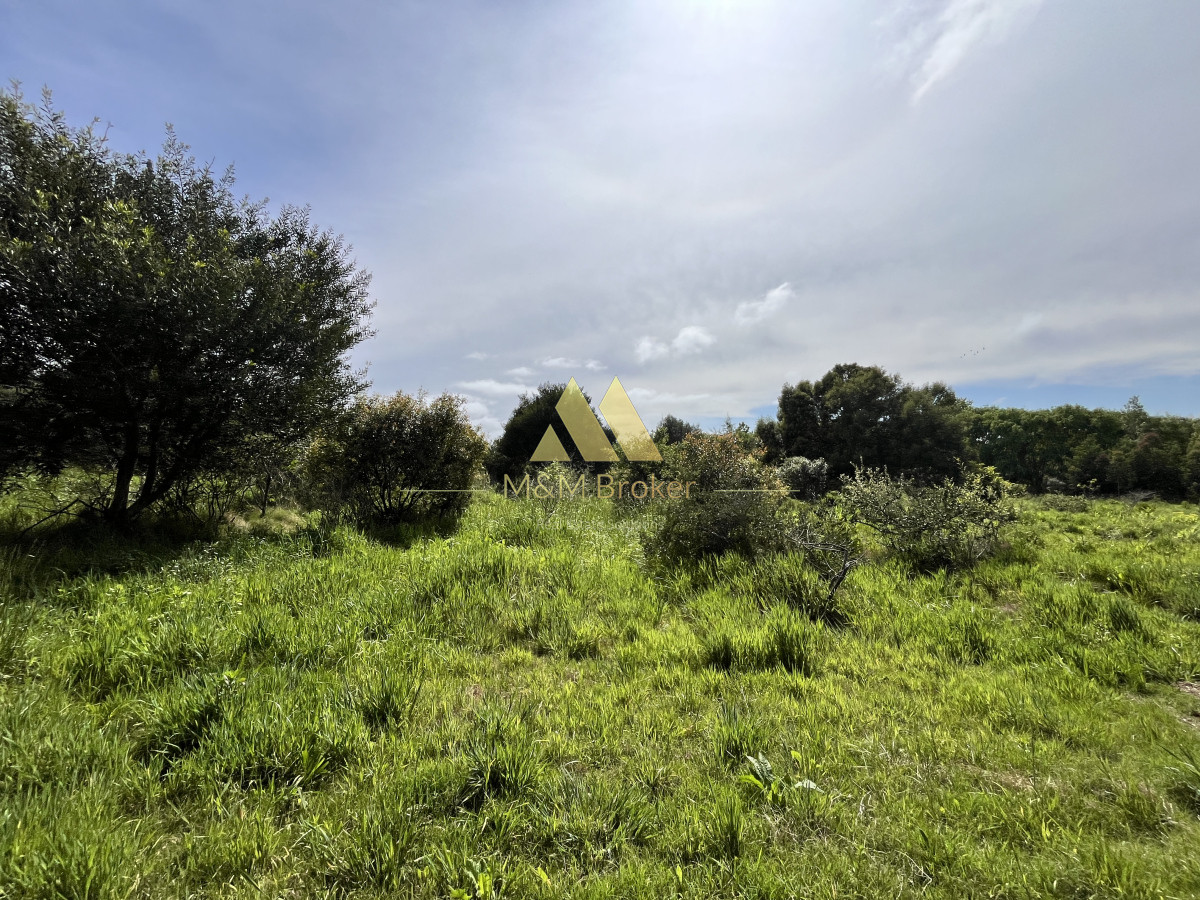 Ruta Interbalnearia - GoPunta - Portal Inmobiliario de Punta del Este - Maldonado