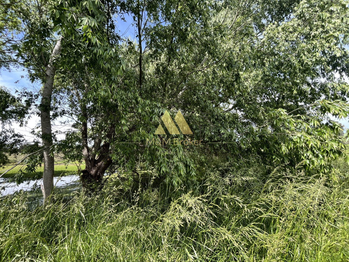 Chacra ID.626 - Venta chacra 6ha próximo a Laguna de los Cisnes Punta del Este