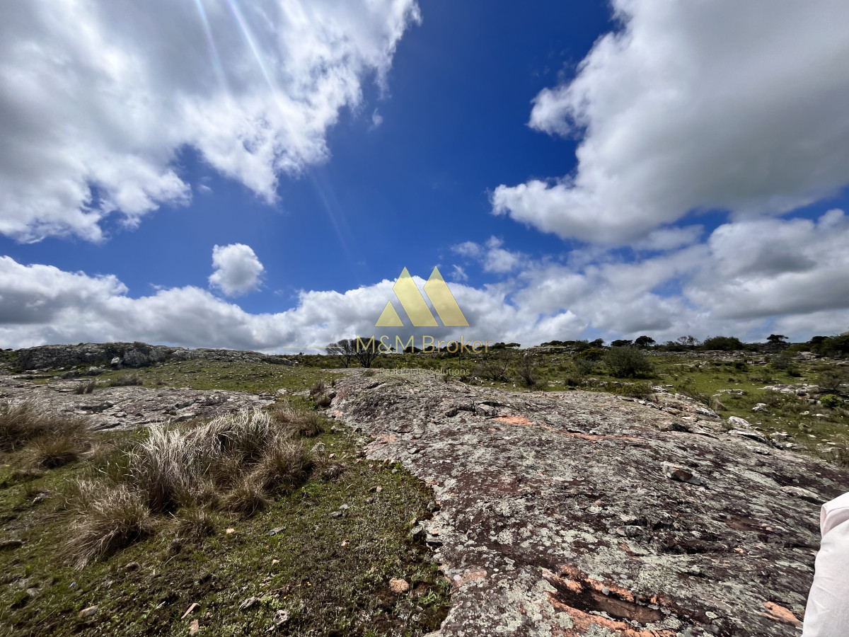 Ruta 39 - GoPunta - Portal Inmobiliario de Punta del Este - Maldonado