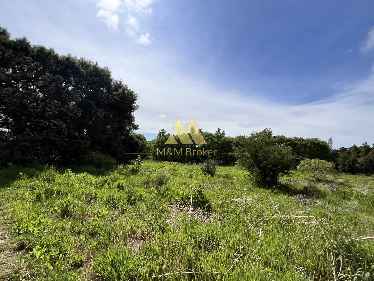 Chacra ID.626 - Venta chacra 6ha próximo a Laguna de los Cisnes Punta del Este