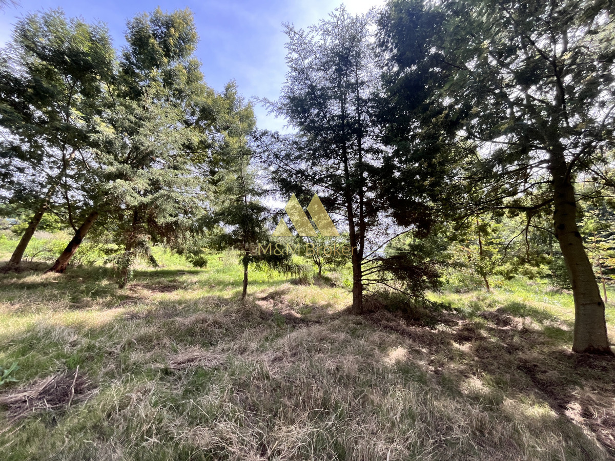 Chacra ID.626 - Venta chacra 6ha próximo a Laguna de los Cisnes Punta del Este