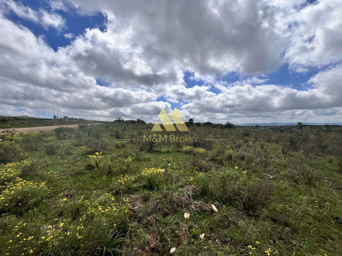 Chacra ID.623 - Venta chacra 4,5 ha Maldonado
