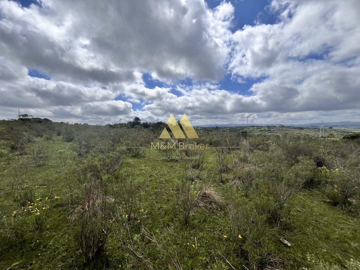 Chacra ID.623 - Venta chacra 4,5 ha Maldonado